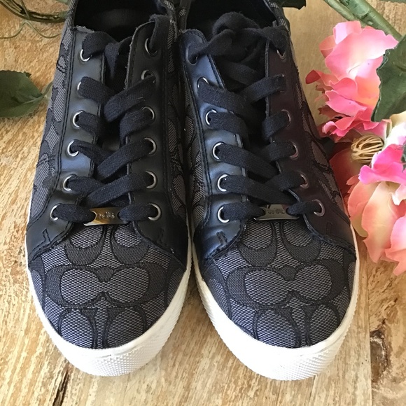 Coach- Paddy Signa. Logo Sneakers - Picture 5 of 14